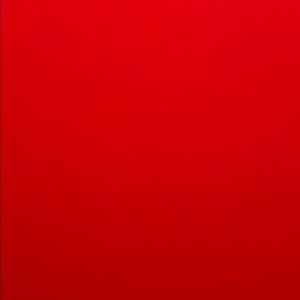 Meet your Posher, Georgie